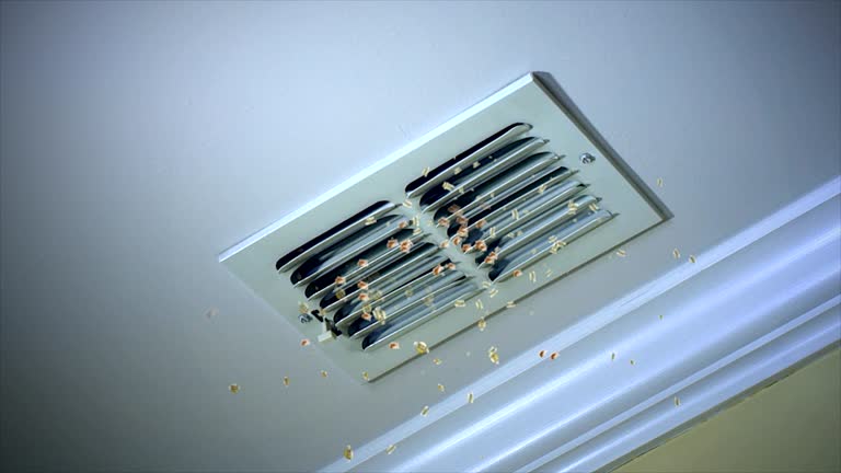Best Residential Air Duct Cleaning  in Gardnerville Ranchos, NV