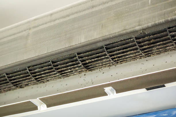 Best HVAC Air Duct Cleaning  in Gardnerville Ranchos, NV