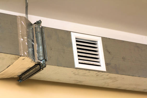 Best Professional Duct Cleaning Services  in Gardnerville Ranchos, NV